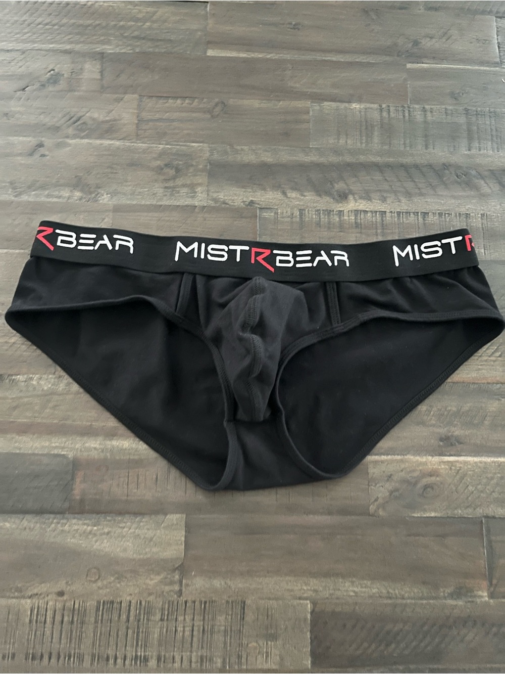 MISTRBEAR BLACK BRIEFS SHOW IT POUCH
